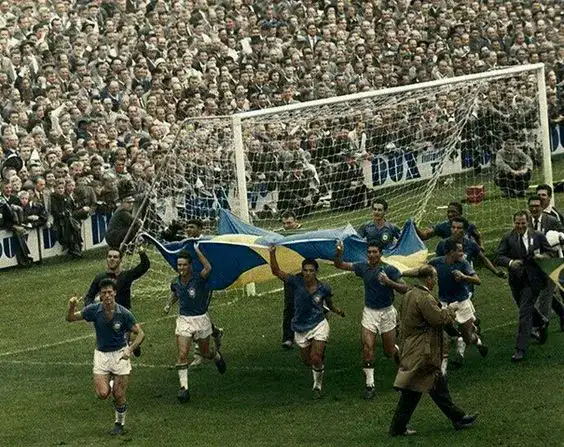 carrying the swedish flag around the soccer field