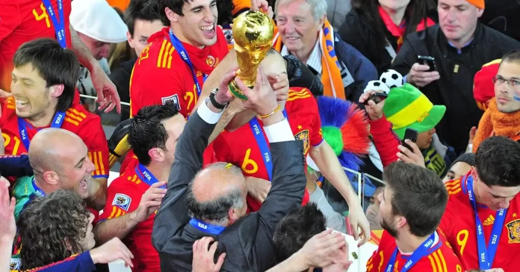 2010 FIFA World Cup Final